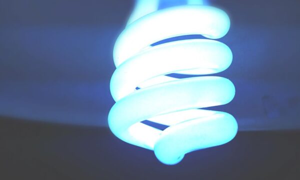 저렴한 CFL 전구는 백열등의 새로운 시대 경쟁자입니다.